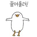디오메이커스