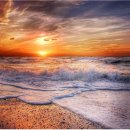 펜으로 그리는 세상 이미지