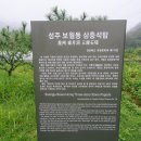 경북10. 성주 관광 이미지