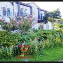 청산빌리지펜션 이미지