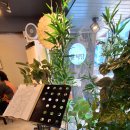 짜글이찌개n석쇠불고기 | 마산 윤식당 석쇠불고기 한정식 맛집 1인 15,000원