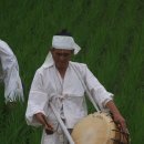 송악두레논매기 이미지