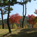 함지노인복지관 이미지