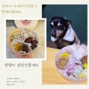 댕댕미식회 이미지