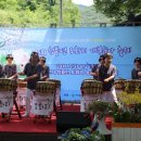 도화리마을 이미지