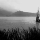 머리풍경 이미지