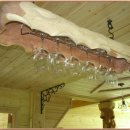 편백나무 주택 이미지