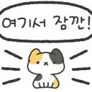 대전괴정고등학교