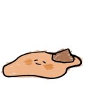 13월의아침 이미지