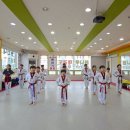 용인대 최강 태권도 도장 이미지