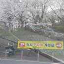 선진공원 주차장 네이버블로그