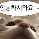 배틀존사격