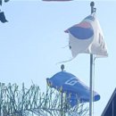 반쪽하늘