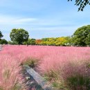 미사경정공원 이미지