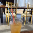 페브러리래빗 이미지