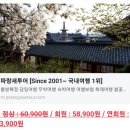 경주 벚꽃 야경 투어 추천, 안압지 아닌 동궁과 월지라 부르자(20230401 파랑새 투어)