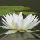 정도환경 이미지