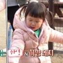 경완목장 이미지