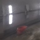 제네시스G80후도어후휀다재도장 대전외형복원&도장불량 대전덴트최고의집매직덴트하우스(매직터치동구점) 이미지