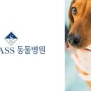 에스 클래스 동물병원 이미지