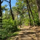 쇠재공원 이미지