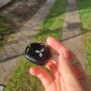 메카닉 디젤 | 23번째 호주 워홀 일기 (호주 퀸즐랜드 중고차 차량 판매 후기)[292일차]