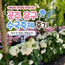 아마트24공주유구점 | 공주 유구 수국축제 개화상황, 아이와 축제 전 방문도 괜찮을까?