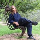 자라는나무 이미지