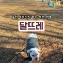 달뜨레