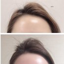 영하다뷰티