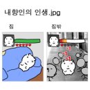 오라모멘토 | [종로 반지/종로예물/종로 웨딩밴드] IxxP내향인들의 예약없는 결혼준비하기(모멘토 당일방문/계약 후기)
