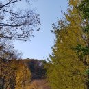 단양 다리안폭포의 가을풍경^^ 이미지