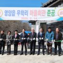 새마을회관