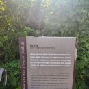 제왕 촬영지인 줄! 간달프도 울고 갈 국내 이색 여행지, 기암절벽의 위엄 '두무진' 솔직후기 (운동화 필수)
