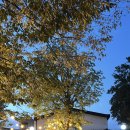 청룡마을1길 11 이미지