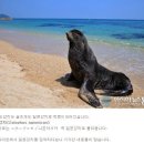 [소름주의] 지가 죽여놓고 친구인척 해온 역대급 싸패;; 이미지