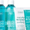 스킨트리 이미지