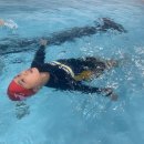 키즈웨일즈 이미지