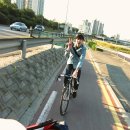 개샤방 이미지