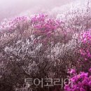 (주)보라비소프트 투어코리아