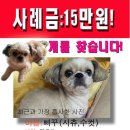 한성기린 이미지