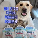 문밀크 | 다이소 강아지분유 추천! 별이도 반한 락토프리 펫밀크 후기