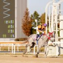 소베라니아 이미지