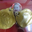 문곡16형대추나무한의원 | [망고맘 육아일기 생후 259일] 장염 회복