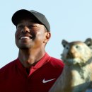 타이어우즈 이미지