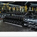 웰니스짐 이미지