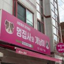 멍집사와개냥이