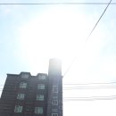 진우식육식당