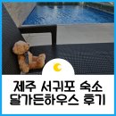 제주 서귀포 숙소 달가든하우스 서호 3박 후기