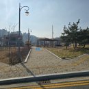 선산대로-50 이미지